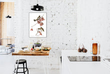Load image into Gallery viewer, Rice Bird Print by John Audubon