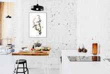 Load image into Gallery viewer, Chestnut-Sided Warbler Print by John Audubon