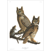 Load image into Gallery viewer, Great Horned Owl Print by John Audubon