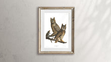 Load image into Gallery viewer, Great Horned Owl Print by John Audubon