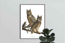 Load image into Gallery viewer, Great Horned Owl Print by John Audubon