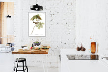 Load image into Gallery viewer, Swamp Sparrow Print by John Audubon