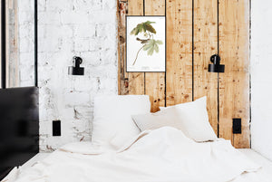 Swamp Sparrow Print by John Audubon