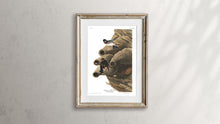 Load image into Gallery viewer, Republican or Cliff Swallow Print by John Audubon
