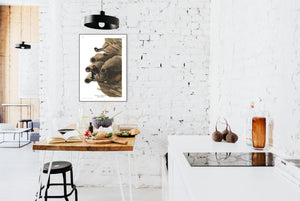 Republican or Cliff Swallow Print by John Audubon