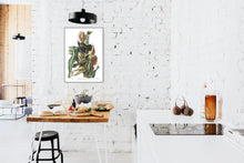Load image into Gallery viewer, Purple Grakle or Common Crow Blackbird Print by John Audubon