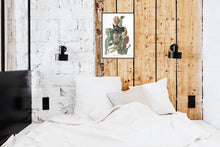 Load image into Gallery viewer, Purple Grakle or Common Crow Blackbird Print by John Audubon