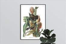 Load image into Gallery viewer, Purple Grakle or Common Crow Blackbird Print by John Audubon