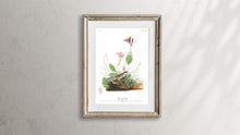 Load image into Gallery viewer, Henslow&#39;s Bunting Print by John Audubon