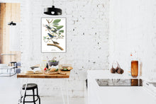 Load image into Gallery viewer, Indigo Bird Print by John Audubon