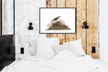 Load image into Gallery viewer, Prairie Titlark Print by John Audubon