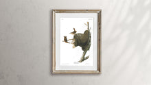 Load image into Gallery viewer, House Wren Print by John Audubon