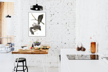 Load image into Gallery viewer, Black Warrior Print by John Audubon