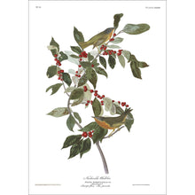 Load image into Gallery viewer, Nashville Warbler Print by John Audubon