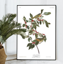 Load image into Gallery viewer, Nashville Warbler Print by John Audubon