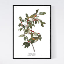 Load image into Gallery viewer, Nashville Warbler Print by John Audubon