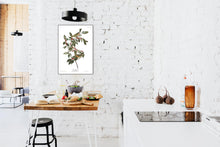 Load image into Gallery viewer, Nashville Warbler Print by John Audubon