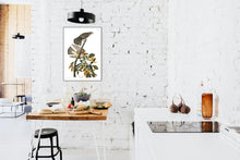 Load image into Gallery viewer, Pigeon Hawk Print by John Audubon