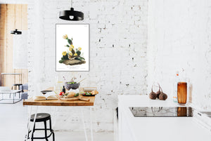 Grass Finch Bay-Winged Bunting Print by John Audubon