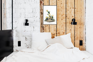 Grass Finch Bay-Winged Bunting Print by John Audubon