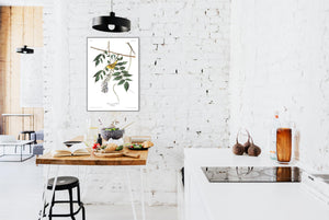 Blue-Eyed Yellow Warbler Print by John Audubon