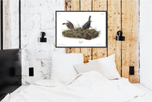Load image into Gallery viewer, Cow-Pen Bird Print by John Audubon