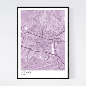 Katowice City Map Print