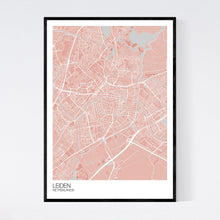 Load image into Gallery viewer, Leiden City Map Print