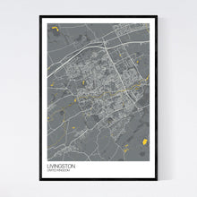 Load image into Gallery viewer, Livingston City Map Print