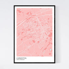 Load image into Gallery viewer, Livingston City Map Print