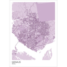 Load image into Gallery viewer, Map of Manaus, Brazil