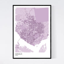 Load image into Gallery viewer, Map of Manaus, Brazil