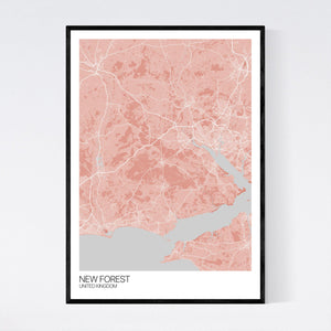 New Forest Region Map Print