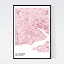 Load image into Gallery viewer, New Forest Region Map Print