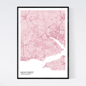 New Forest Region Map Print