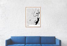 Load image into Gallery viewer, Map of Newark, New Jersey