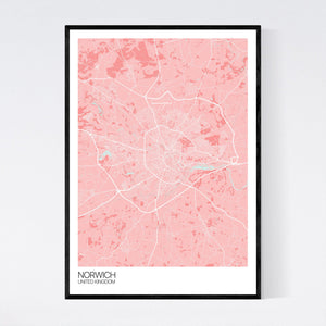 Norwich City Map Print