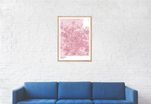 Load image into Gallery viewer, Map of Odense, Denmark