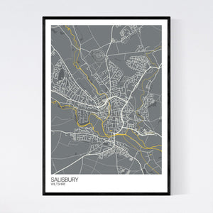 Salisbury City Map Print