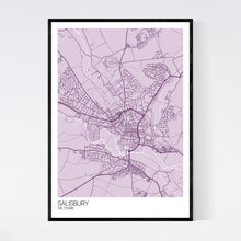 Load image into Gallery viewer, Salisbury City Map Print