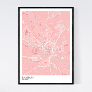 Salisbury City Map Print