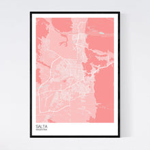 Load image into Gallery viewer, Map of Salta, Argentina
