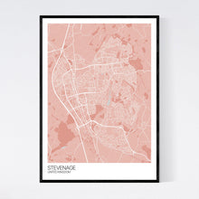 Load image into Gallery viewer, Stevenage City Map Print