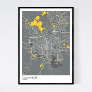 Tallahassee City Map Print