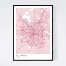 Load image into Gallery viewer, Tallahassee City Map Print
