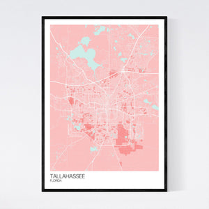 Tallahassee City Map Print