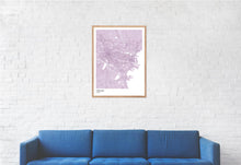 Load image into Gallery viewer, Map of Tianjin, China