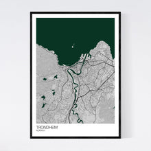 Load image into Gallery viewer, Trondheim City Map Print