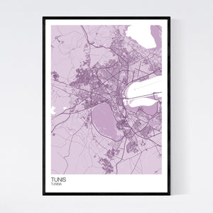 Tunis City Map Print