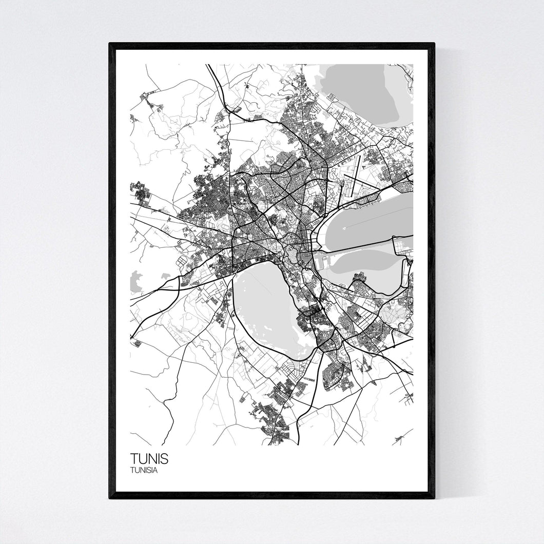 Tunis City Map Print